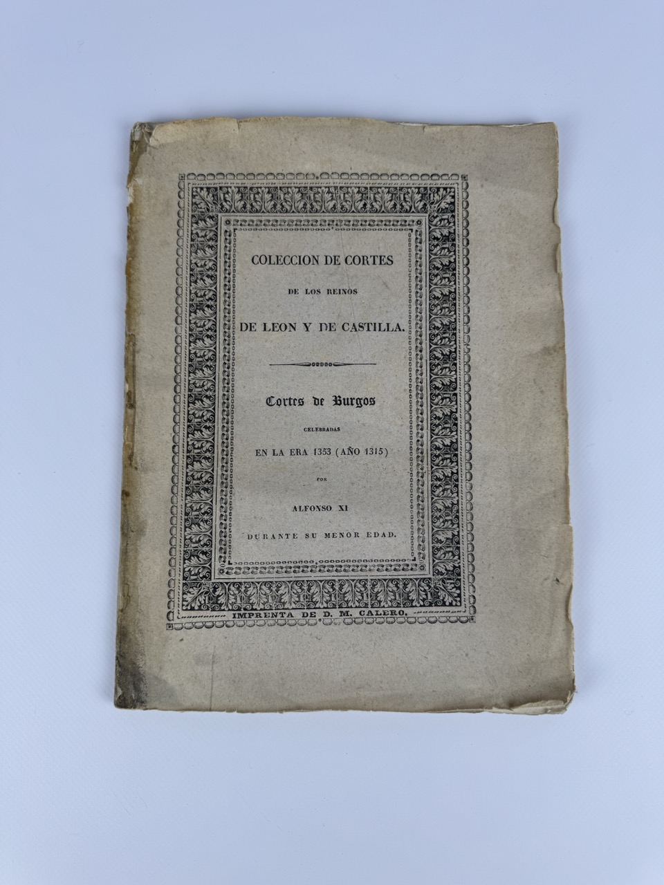 Libro Cortes de Burgos
