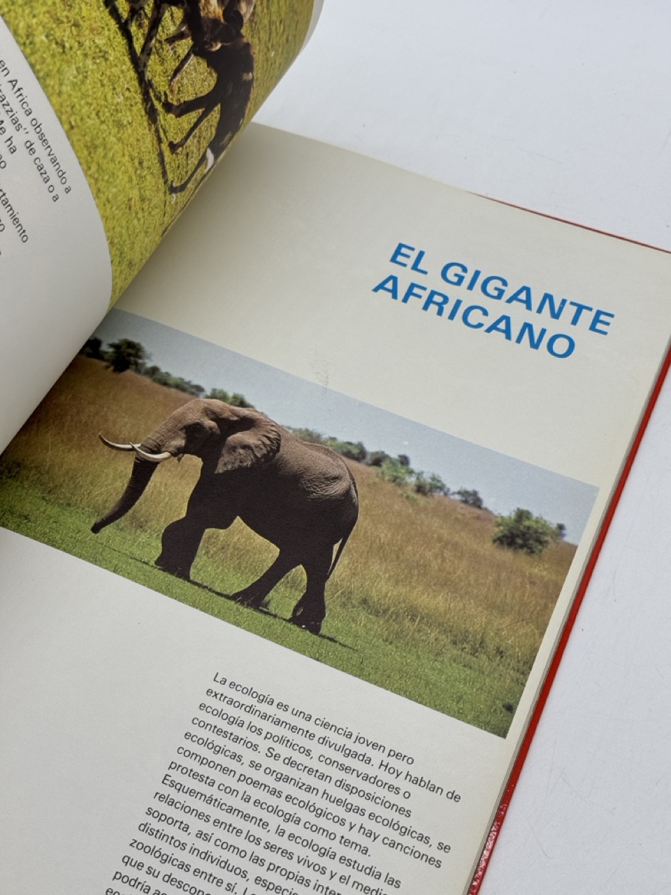 Libro Firmado Félix Rodríguez de la Fuente - Imagen 5