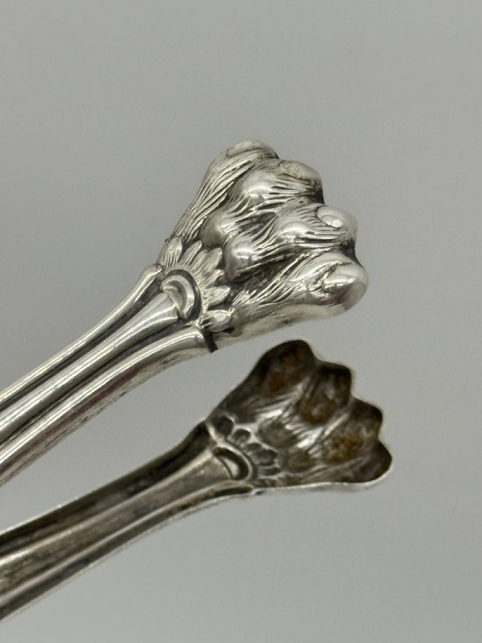 Pinza plata de ley garra - Imagen 4